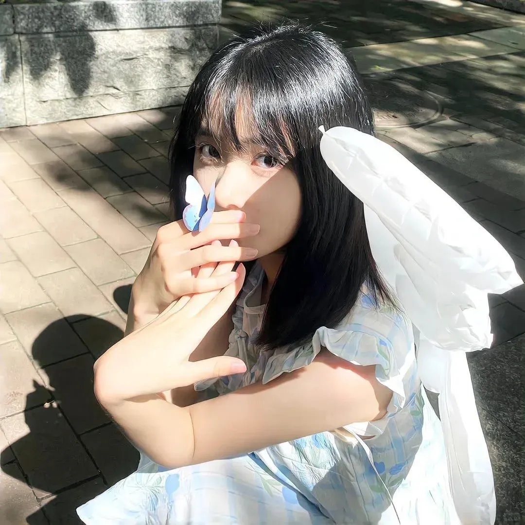笨鸟满天飞